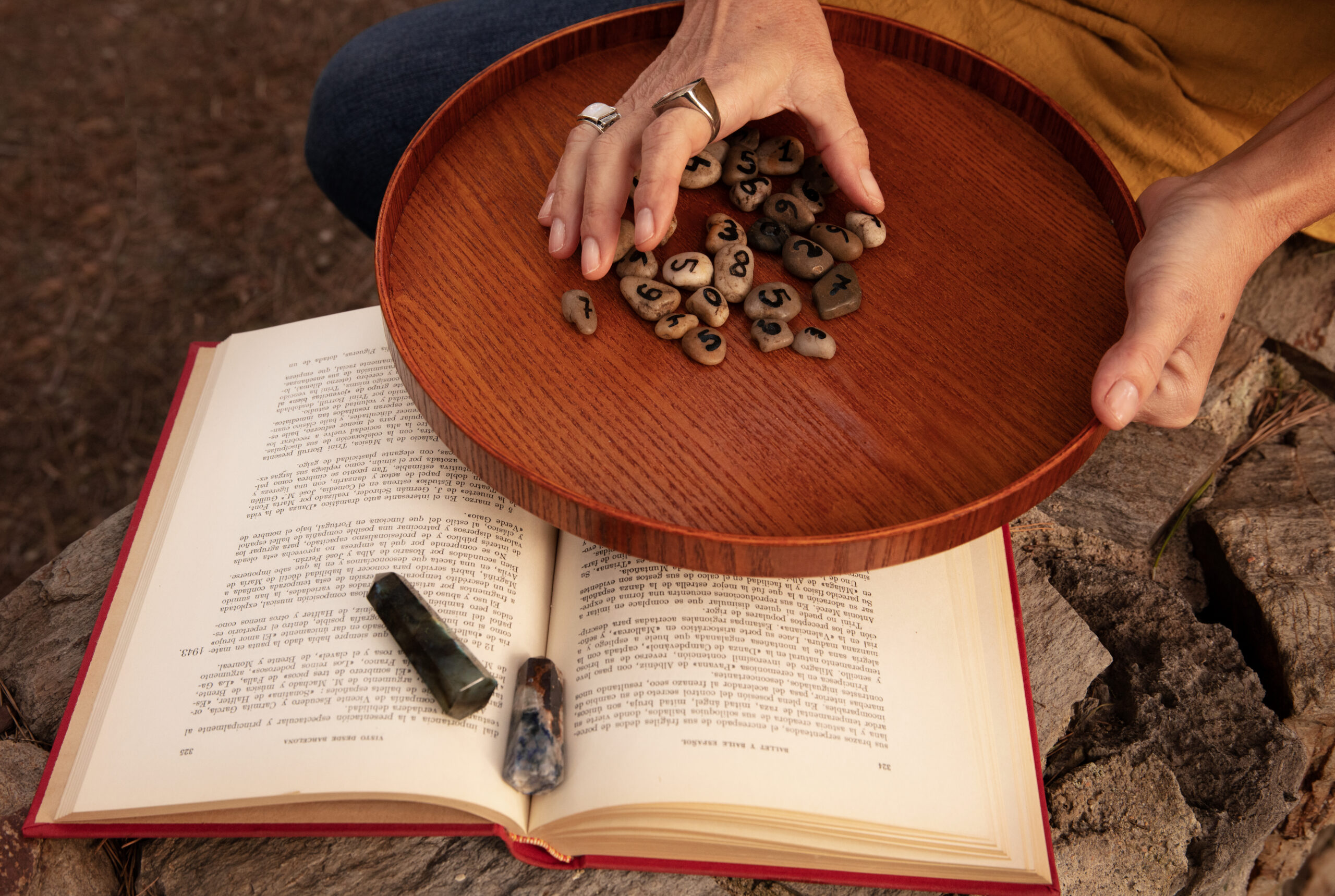 mike wolfe passion project